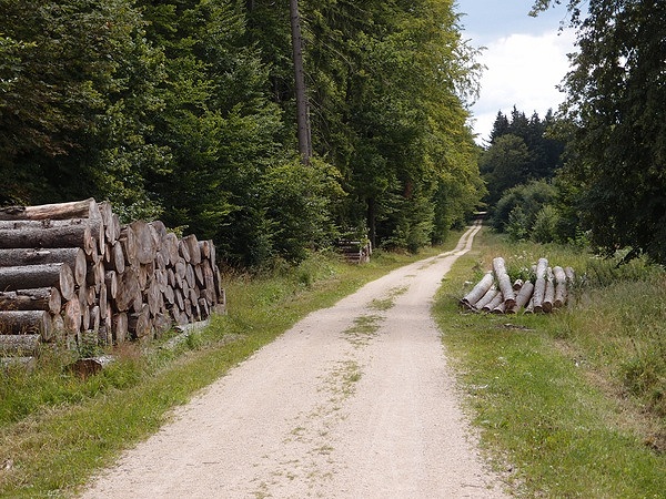 Bild Nr. 23
